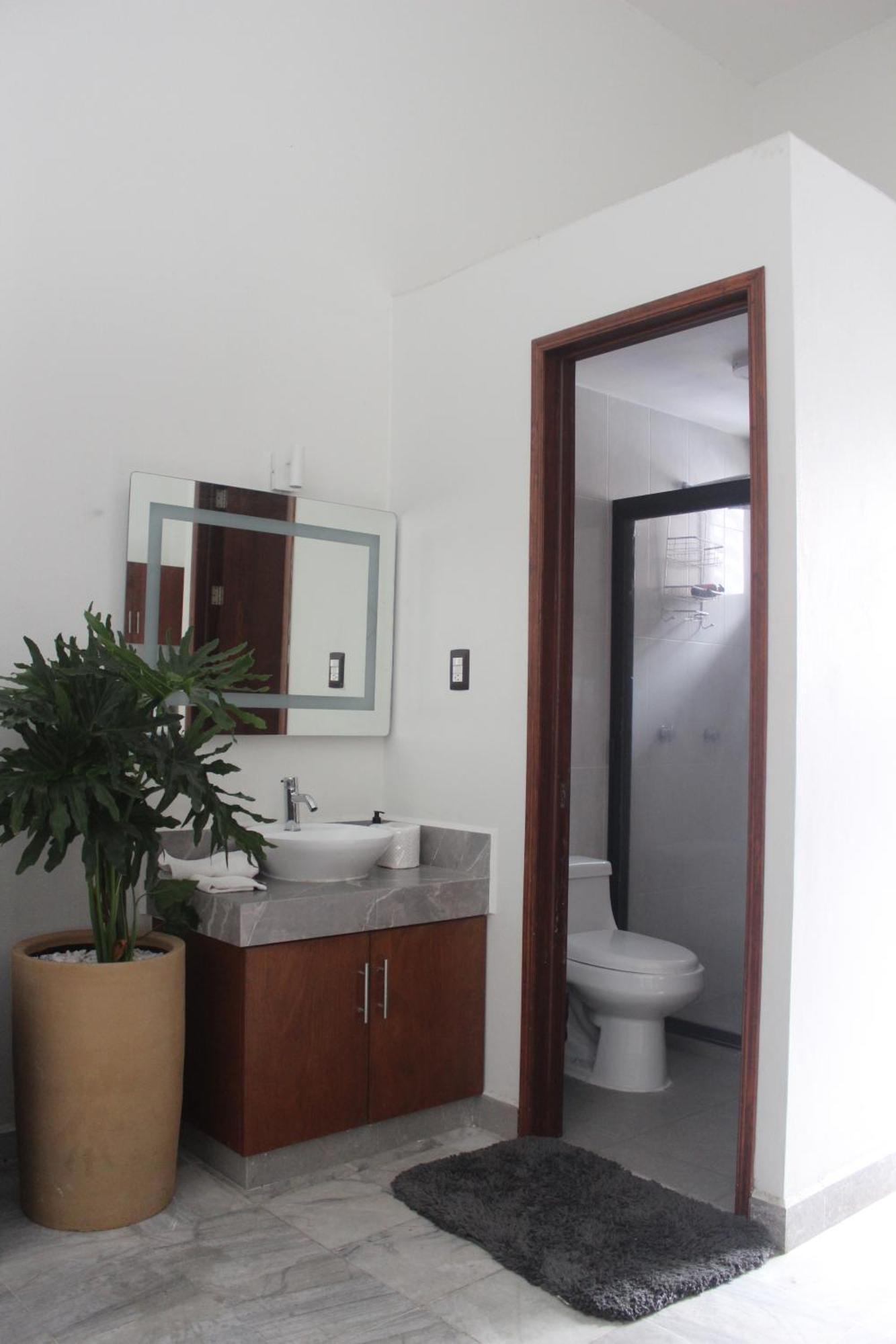 Suites Independencia Oaxaca Bagian luar foto